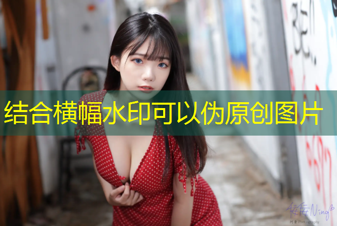 室内健身助手 室内健身助手