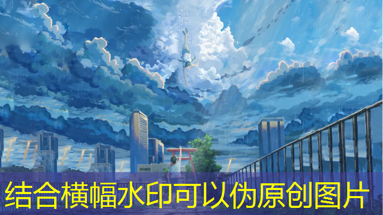 室内健身墙