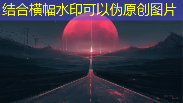 篮球专线训练器材推荐
